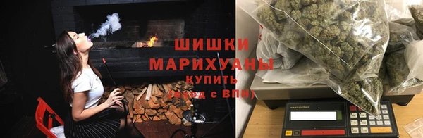 ПСИЛОЦИБИНОВЫЕ ГРИБЫ Балабаново