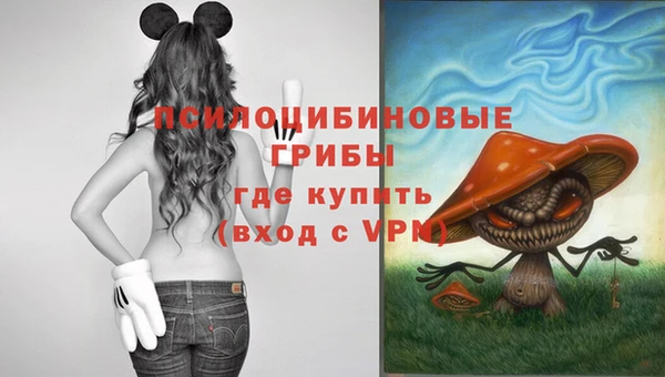 мдпв Арсеньев